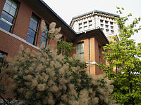 Eikoukan, Imadegawa campus
