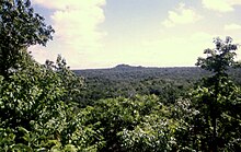 Вид на густые джунгли с деревьями, обрамляющими левую и правую стороны. Лес простирается до горизонта, где холм, покрытый джунглями, прерывает равнину. Разорванные облака рассыпаны по бледному небу.