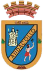 Coat of arms of Andacollo