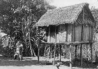 A Betsimisarakian hen house and a rice barn in 1911, Fenerive. Photo by Walter Kaudern. Fenerive, o. Madagaskar. Risbod och honshus hos betsinuisaraka. Fenerive - SMVK - 001653.tif