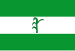 Vlag van Güepsa