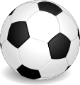 A soccer ball is a model of the C60 fullerene