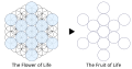 Fruit-of-Life Stages 61-circles-to-13-circles