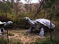 Lebensgroße Modelle der Atlasschildkröte (Megalochelys Atlas)