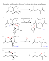 Thumbnail for version as of 16:12, 12 June 2021