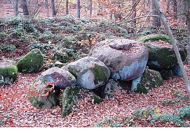 Das Großsteingrab Lübeck-Blankensee (aus Nordost)