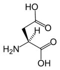 Miniatura per Acid aspartic