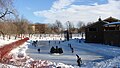 Patineurs sur l'étang du parc Lafontaine en hiver