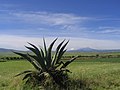 Altiplano central en Hidalgo.