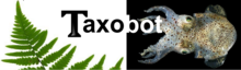 Description de l'image Logo Taxobot.png.