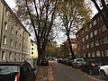 Manstadtsweg, Blick in Richtung Meister-Francke-Straße