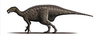 http://upload.wikimedia.org/wikipedia/commons/thumb/6/6e/Mantellisaurus_atherfieldensis_Steveoc.jpg/200px-Mantellisaurus_atherfieldensis_Steveoc.jpg