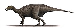 A Mantellisaurus rekonstrukciója