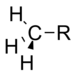 An arbitrary methyl group.