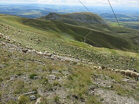 Vue du puy de Paillaret depuis le puy Ferrand.