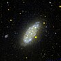 Miniatura para NGC 2976