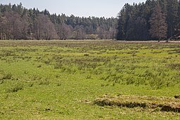 Naturskyddsområdet Pegnitzau zwischen Ranna und Michlfeld.