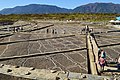 奈良県御所市中西遺跡における弥生時代前期の小区画水田の遺構面（畦畔の区画に沿ってスプレー式ラッカーまたはラインパウダーで白線を引き、遺構の形状を視認しやすくしている）。