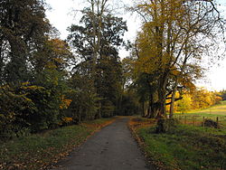 Walking is a popular Newmilns pastime. The Broons Road (seen here in autumn) is a popular destination throughout the year. Newmilns 09-10-17 autumn broons road.jpg