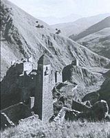 Развалины селения Никара (чеч. Нийкъара)