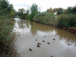 Река Левинка в Московском районе