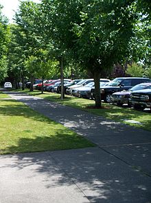Parking lot landscaped with trees, 2009 Parking lot landscaped with trees.JPG