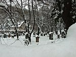Praha, Smíchov, Bertramka, hřbitov pod sněhem.JPG