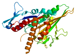 Белок KIFC3 PDB 2h58.png