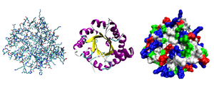 Three views of one monomer of the protein trio...