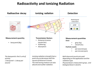 Graphic showing relationships between radioactivity and detected ionizing radiation Radioactivity and radiation.png