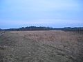 Ruhland, Große Wiesen (alter Flurname) Nordteil, Blick vom Ende der Straße Am Dürrbachgraben nach Südost, Winter; hinten der Fuchsberg, davor Fuchslöcher (alter Flurname) (jetzt Am Fuchsberggraben (Flurname)); links Fuchsberggraben, rechts Zaun des Solarfelds (Gewerbegebiet „Große Wiesen “)