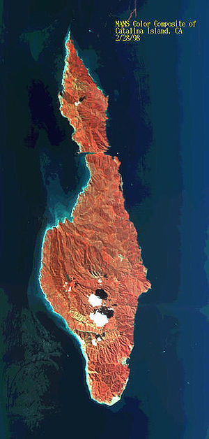 Infrared image of Catalina, foliage appears red.
