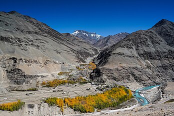 Vilarejo de Shila na margem direita do rio Tsarap, Zanskar, Ladaque, Índia. O vilarejo (altitude de 3 590 m) está cercado por bosques de bétulas com cores outonais. (definição 5 863 × 3 909)