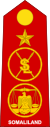 Somaliland Army OF-8.svg