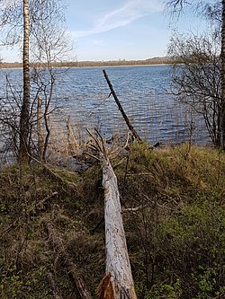 Панарама Воласы Паўднёвага