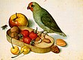 “Still-Life with Pygmy Parrot” จอร์จ เฟลเกิล