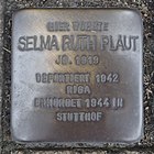 Stolperstein für Selma Ruth Plaut