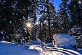 Sun In Snow Forest (24863431).jpeg2.048 × 1.365; 1,31 MB