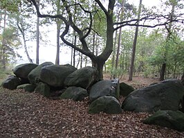 Großsteingrab Wiemelsberger Steine