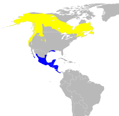 Mapa występowania