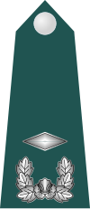 10.SKA-2LT.svg