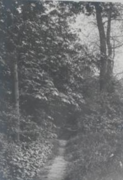 Parc privé en 1905
