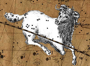 Image of Aires the Ram, for Aries (astrology),...