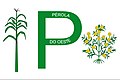 Bandeira de Pérola d'Oeste