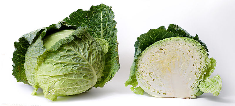 File:Cabbage and cross section on white.jpg