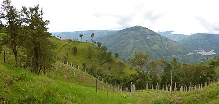 Wiks va Cajamarca