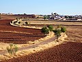 Miniatura para Torre de Juan Abad