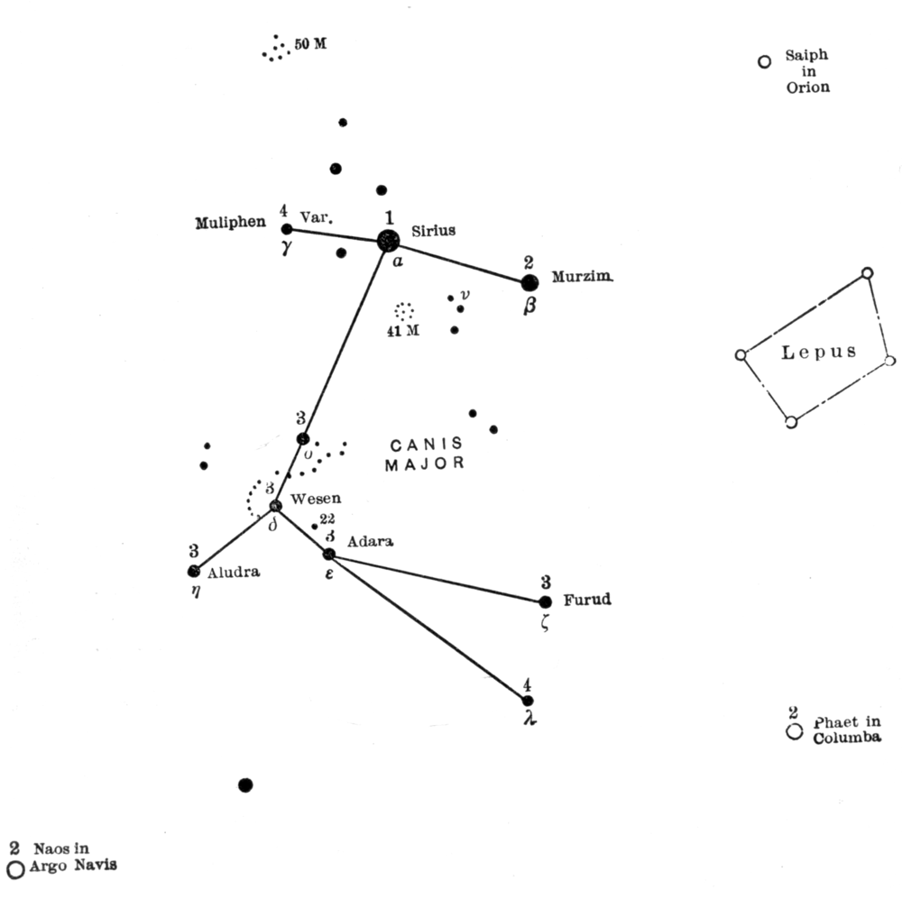The constellation Canis Major with it's major stars labelled.
