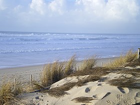 Plage de Carcans, en Gironde, vu des dunes au milieu desquelles a été retrouvé le corps de Silja Trindler le 5 août 2000.