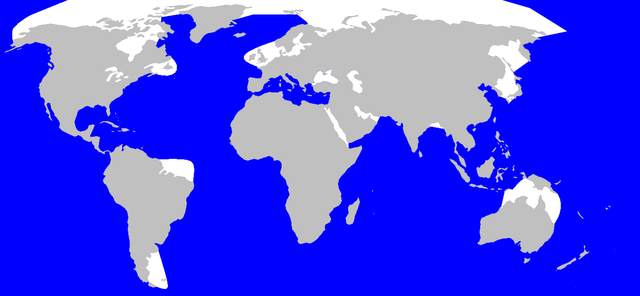 Distribuição do cachalote (azul)